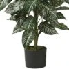 36" X 20" Artificial Zebra Silk Plant In Wicker Pot - Nearly Natural -Nearly Natural GUEST 956ebd5f 7bb1 40d6 acd0 b8d73e58e5f0