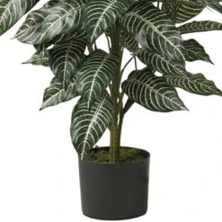 36" X 20" Artificial Zebra Silk Plant In Wicker Pot - Nearly Natural
