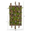 Nearly Natural 41-in X 19-in Mixed Succulent Artificial Living Wall -Nearly Natural GUEST 98e5510d 8065 440d ba76 939fee2e85ab