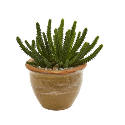 11" X 11" 2pc Artificial Cactus Succulent Plant In Ceramic Vase Set - Nearly Natural 4 11" X 11" 2pc Artificial Cactus Succulent Plant In Ceramic Vase Set - Nearly Natural - Image 2