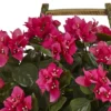 20" X 18" Artificial Bougainvillea Flowering Plant In Rustic Wood Planter Pink -Nearly Natural -Nearly Natural GUEST 9f658a92 b2f7 44f6 897d 2c0b57c16006