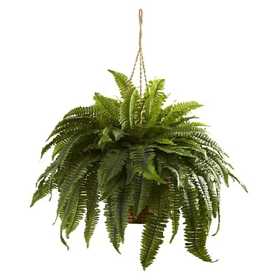 36" X 29" Artificial Boston Fern Hanging Basket - Nearly Natural 3 36" X 29" Artificial Boston Fern Hanging Basket - Nearly Natural