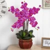31" X 28" Artificial Phalaenopsis Orchid Arrangement In Vase Purple - Nearly Natural 1 31" X 28" Artificial Phalaenopsis Orchid Arrangement In Vase Purple - Nearly Natural -Nearly Natural GUEST ab0900f7 3ccd 434b a981 4562a52b7006