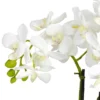 Nearly Natural Phalaenopsis Silk Flower Arrangement -Nearly Natural GUEST aefd1971 e4ce 4de6 8f15 34bd893e9bb6