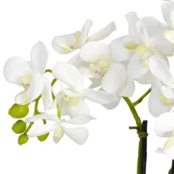 Nearly Natural Phalaenopsis Silk Flower Arrangement