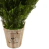 3' Cedar Artificial Plant In Barrel Planter - Nearly Natural 1 3' Cedar Artificial Plant In Barrel Planter - Nearly Natural -Nearly Natural GUEST b22e8e23 8f9e 4996 8535 da85334c271f