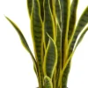 26" X 8" Artificial Sansevieria Plant In Pot - Nearly Natural 1 26" X 8" Artificial Sansevieria Plant In Pot - Nearly Natural -Nearly Natural GUEST b251ecaa 55e4 4ed3 945b 434b59a0d3fb