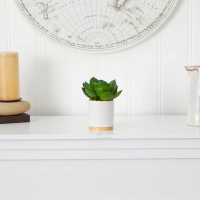 Nearly Natural 6-in Succulent Artificial Plant In White Ceramic Planter 5 Nearly Natural 6-in Succulent Artificial Plant In White Ceramic Planter - Image 3