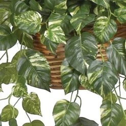 Pothos Hanging Basket Silk Plant - Nearly Natural -Nearly Natural GUEST b880fb4b 98ce 4e1c 912a d5cb552c41d2