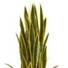 42" X 12" Artificial Sansevieria Plant In Slate Planter Gray - Nearly Natural -Nearly Natural GUEST c1fb6470 db8a 4538 8efb 0fdc64166d1a
