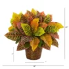 Nearly Natural 17-in Garden Croton Artificial Plant In Basket (Real Touch) -Nearly Natural GUEST c45d61b1 0c2c 4989 be85 ced928617db2
