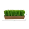 Nearly Natural 12-in Grass Artificial Plant In Decorative Planter 1 Nearly Natural 12-in Grass Artificial Plant In Decorative Planter -Nearly Natural GUEST c9dc71a4 06e4 4a3e 8c5c 8615188072e7