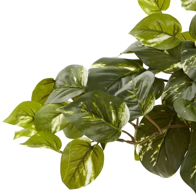 Nearly Natural Pothos With Rectangle Decorative Planter 3 Nearly Natural Pothos With Rectangle Decorative Planter