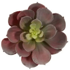Nearly Natural 6-in Artificial Echeveria Succulent (Set Of 12) -Nearly Natural GUEST cb3cab9a 7eac 4572 b5fb 665cb83a1ea3