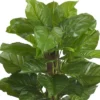 63" X 33" Artificial Leaf Philodendron Plant In Pot - Nearly Natural 2 63" X 33" Artificial Leaf Philodendron Plant In Pot - Nearly Natural -Nearly Natural GUEST cb47980f 0d70 492b be58 c757e1594a73