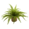 Boston Fern Plants In Burlap Planters Set Of 2 - Nearly Natural -Nearly Natural GUEST cbcdbda7 fdc2 4437 b761 3c5941ace2c3