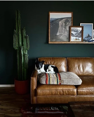 Nearly Natural 6.5-ft Cactus Artificial Plant 3 Nearly Natural 6.5-ft Cactus Artificial Plant