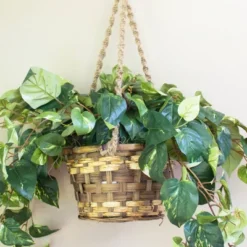 Pothos Hanging Basket Silk Plant - Nearly Natural -Nearly Natural GUEST d13d32ca ddfe 45c2 b8db b06550edfd71