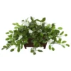 Nearly Natural 14-in Mix Stephanotis Artificial Plant In Decorative Planter -Nearly Natural GUEST d2ef8ca0 7883 4916 a879 7eaf92159cb4