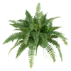 Boston Fern 2pk (40") - Nearly Natural