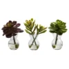 5.5" X 4" 3pc Artificial Succulent Arrangements Set - Nearly Natural -Nearly Natural GUEST d528a3d7 a276 499d 9323 0b877035408a