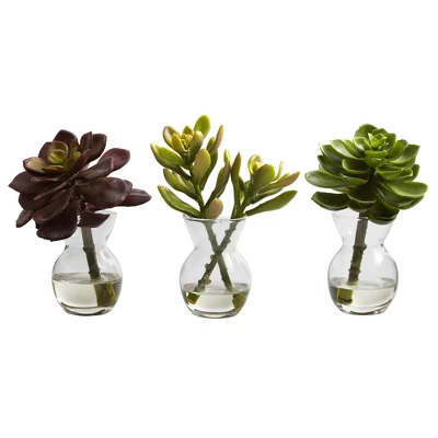 5.5" X 4" 3pc Artificial Succulent Arrangements Set - Nearly Natural 3 5.5" X 4" 3pc Artificial Succulent Arrangements Set - Nearly Natural