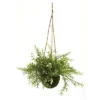 Nearly Natural 9-in Ruscus, Sedum & Springeri Hanging Basket (Set Of 3) -Nearly Natural GUEST d5ed193e 43e5 4f0a b314 e737f0271411