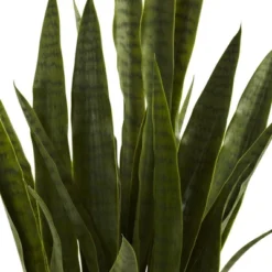 Nearly Natural Sansevieria With Black Planter 8 Nearly Natural Sansevieria With Black Planter -Nearly Natural GUEST d8b22f7c 9a45 4515 9f4e 99530bfda27c