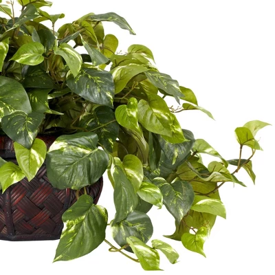 15" X 29" Artificial Pothos Plant In Decorative Vase - Nearly Natural 3 15" X 29" Artificial Pothos Plant In Decorative Vase - Nearly Natural