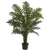 Nearly Natural 3.5-ft Evergreen Plant 1 Nearly Natural 3.5-ft Evergreen Plant -Nearly Natural GUEST e1332f66 cb9d 422b b031 f0a869d1340e