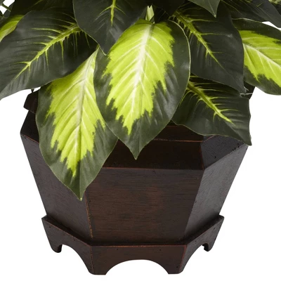 22" Artificial Triple Golden Dieffenbachia With Wood Vase - Nearly Natural 4 22" Artificial Triple Golden Dieffenbachia With Wood Vase - Nearly Natural - Image 2
