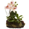 10" X 7" 2pc Artificial Orchid Island Set White/Purple - Nearly Natural -Nearly Natural GUEST ead100f2 573c 4595 b2c5 122f320e59ab