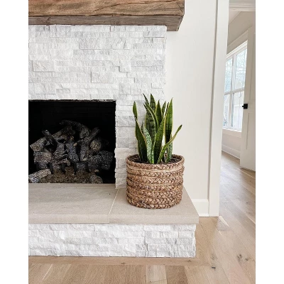 Nearly Natural 38-in Sansevieria Artificial Plant 3 Nearly Natural 38-in Sansevieria Artificial Plant