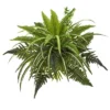 Nearly Natural 22-in Mixed Greens And Fern Artificial Bush Plant (Set Of 3) 2 Nearly Natural 22-in Mixed Greens And Fern Artificial Bush Plant (Set Of 3) -Nearly Natural GUEST ee278a3c 13d6 42ab a0a5 1aad3afa7dc5