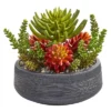 Nearly Natural 12-in Succulent Garden Artificial Plant In Bowl 2 Nearly Natural 12-in Succulent Garden Artificial Plant In Bowl -Nearly Natural GUEST ee920bd8 21ea 4ce0 afe2 65146e746587