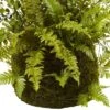 13" X 17" Artificial Fern Plant With Twig And Moss Basket- Nearly Natural -Nearly Natural GUEST f09914aa c631 4d02 aeec a88d47977002