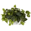Nearly Natural 14-in Pothos W/White Wash Planter Silk Plant 1 Nearly Natural 14-in Pothos W/White Wash Planter Silk Plant -Nearly Natural GUEST f813e5e0 ada9 444e 9fea b9d2380b7943