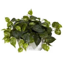 Nearly Natural 14-in Pothos W/White Wash Planter Silk Plant