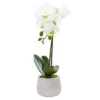 Nearly Natural 15-in Phalaenopsis Orchid Artificial Arrangement (Set Of 2) 1 Nearly Natural 15-in Phalaenopsis Orchid Artificial Arrangement (Set Of 2) -Nearly Natural GUEST fbe3e209 0908 47b2 8109 ff184ed1c17c