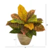 Nearly Natural 15-in Garden Croton Artificial Plant In Ceramic Planter (Real Touch) -Nearly Natural GUEST feb15ebf 9463 470b a611 acf2617603f7